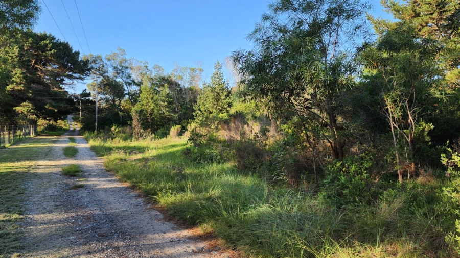 Commercial Property for Sale in Langvlei Dunes Western Cape